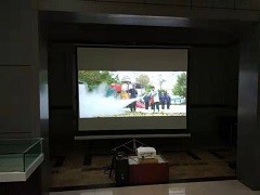 森林舞会